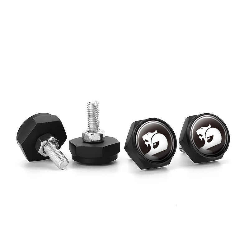 Holden HSV License Plate Screws