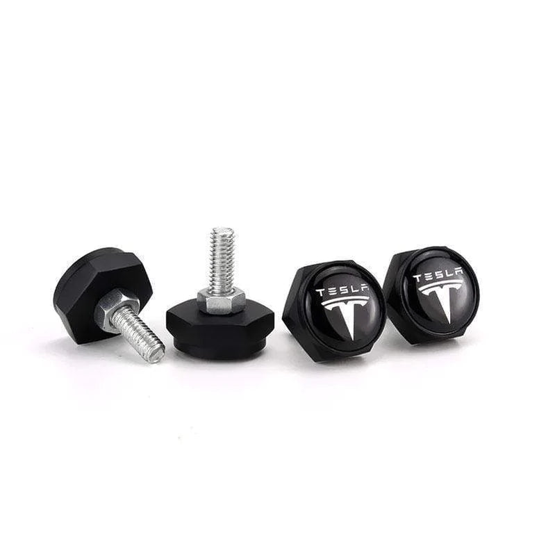 Tesla License Plate Screws